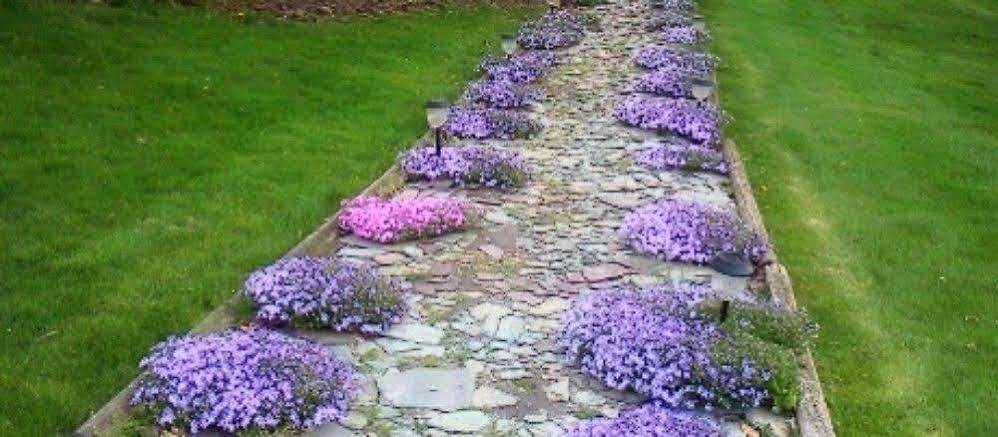 The Pines Of Dresden Bed and Breakfast Εξωτερικό φωτογραφία
